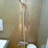 ホテル エリアス(豊島区/ラブホテル)の写真『205号室（シャワー部分。残念ながらシャワーヘッドは洗い場向きです）』by 格付屋
