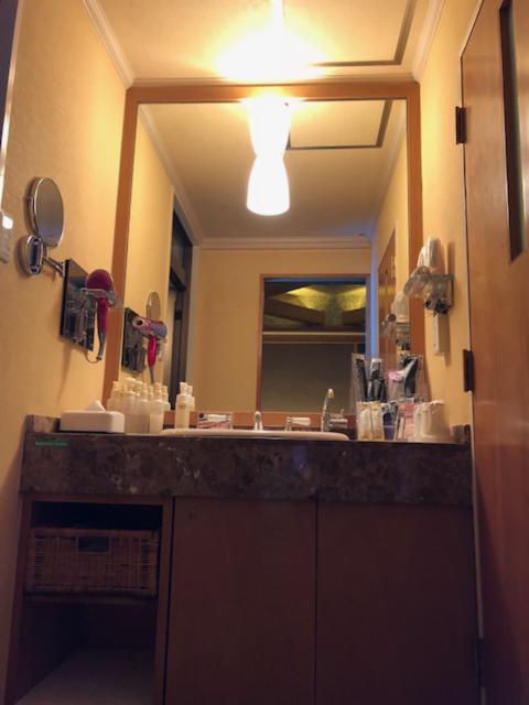 ニューヨーク(足立区/ラブホテル)の写真『403号室 洗面所』by 来栖
