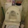 レンタルルーム プレジャー(港区/ラブホテル)の写真『フロア共用トイレ』by ところてんえもん