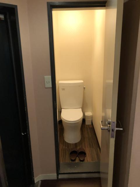 HOTEL アムール(台東区/ラブホテル)の写真『203号室 トイレ』by みこすりはん