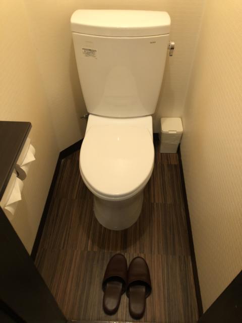 HOTEL アムール(台東区/ラブホテル)の写真『203号室 トイレ』by みこすりはん