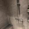 FABULOUS(ファビュラス)(立川市/ラブホテル)の写真『602号室シャワーのみ。浴槽はなし』by こういち