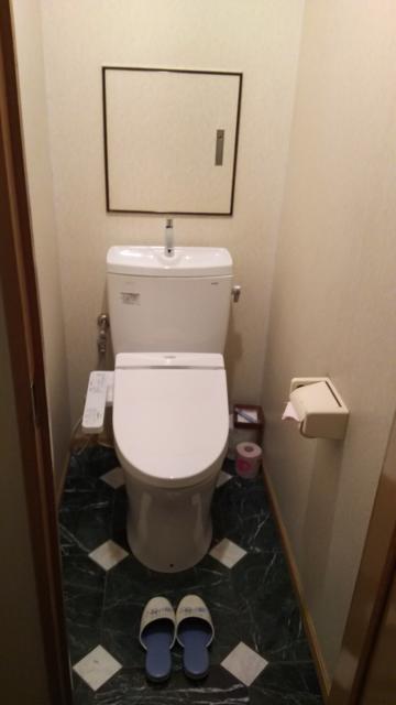 マイアミ(横浜市西区/ラブホテル)の写真『202号室利用。至って普通のトイレです。』by キジ