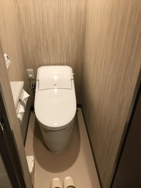 HOTEL RIO（リオ）(新宿区/ラブホテル)の写真『406トイレ』by 夢幻人