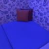 レンタルルーム プレジャー(港区/ラブホテル)の写真『（24号室）ベッドはマットだけです。奥にクッション×２がありました。』by こーめー