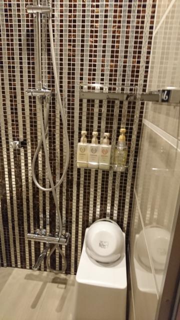 ホテルヴィクトリアコート関内(横浜市中区/ラブホテル)の写真『305号室 洗面台の正面にバスルーム。シャワーと洗い場』by なめろう