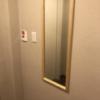 ホテル大山(新宿区/ラブホテル)の写真『205玄関横 鏡とカードキー差込口』by 夢幻人