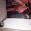 HOTEL SULATA渋谷道玄坂(渋谷区/ラブホテル)の写真『310号室　浴室　全景』by INA69