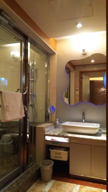 HOTEL Belta（ベルタ）(横浜市西区/ラブホテル)の写真『301号室利用。洗面所です。』by キジ