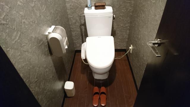 アラウダリゾート国立(国立市/ラブホテル)の写真『510号室、トイレ』by おむすび