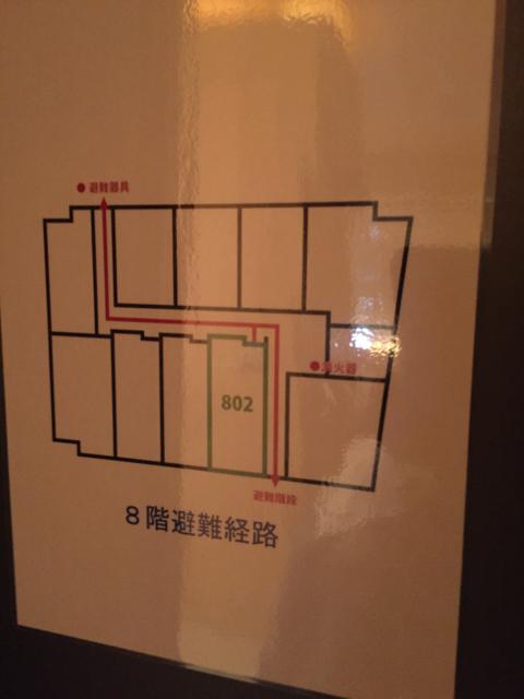ヒルズホテル五反田(品川区/ラブホテル)の写真『802号室 平面図』by ちげ