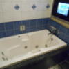 HOTEL DINO 相模原(ディーノ)(相模原市/ラブホテル)の写真『312号室、浴槽と浴室テレビ』by もんが～