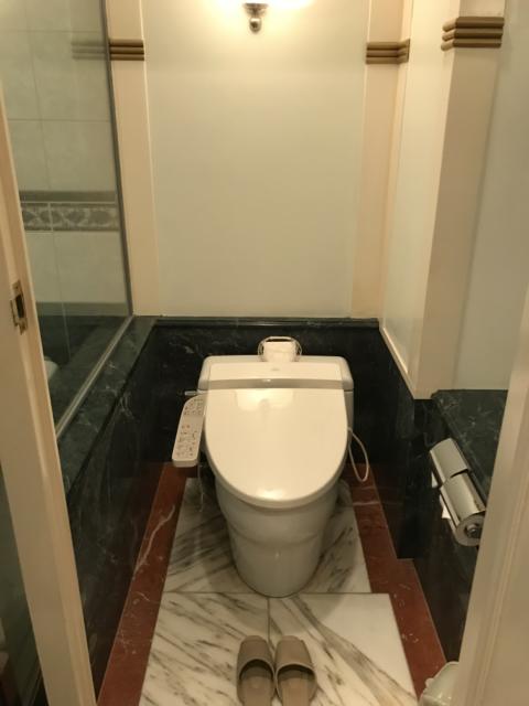 HOTEL CEAN新宿（セアン）(新宿区/ラブホテル)の写真『305号室のトイレ①』by 少佐