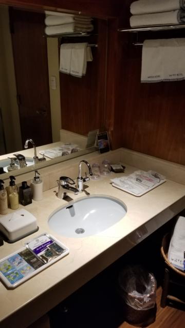 Water Hotel cy(ウォーターホテルシー)(町田市/ラブホテル)の写真『47号室洗面台』by よこちん左向き