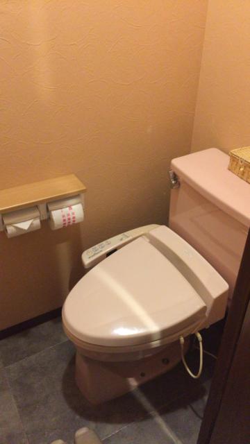 HOTEL EXCELLENT(エクセレント)(新宿区/ラブホテル)の写真『103号室 トイレ』by hireidenton