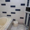 HOTEL PARIS(パリス)(渋谷区/ラブホテル)の写真『204号室　お風呂。テレビあります。』by へんりく