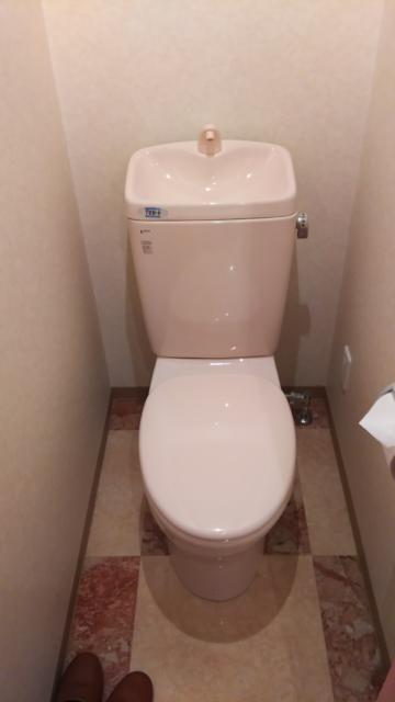 ホテル メープル(豊島区/ラブホテル)の写真『301号室のトイレ』by たけのこ