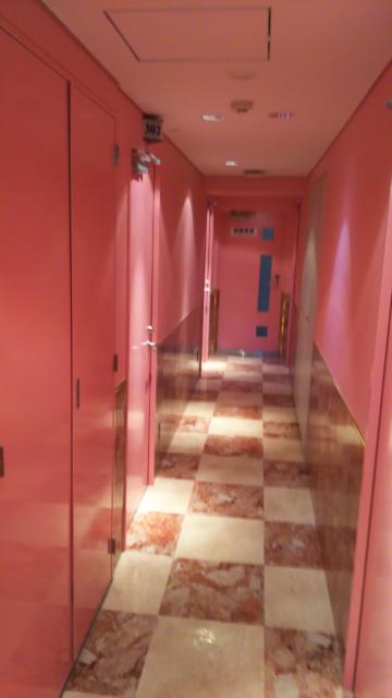ホテル メープル(豊島区/ラブホテル)の写真『三階の廊下』by おこ