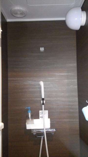プチホテル AGAIN(荒川区/ラブホテル)の写真『201号室のシャワールーム』by 上戸 信二
