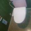 WILL加平(かへい)(足立区/ラブホテル)の写真『203号室　トイレ』by YOSA69