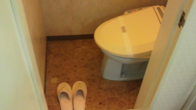 HOTEL VIEW(所沢市/ラブホテル)の写真『203号室 トイレ』by reimyu: