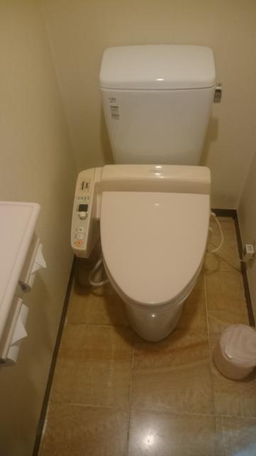 HOTEL TWIN(ツイン)(柏市/ラブホテル)の写真『201号室　トイレ』by YOSA69