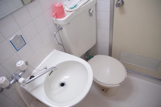 ホテル シルク(豊島区/ラブホテル)の写真『303号室　洗面台とトイレ』by マーケンワン