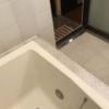 ラピア(新宿区/ラブホテル)の写真『203号室の浴室④』by 少佐