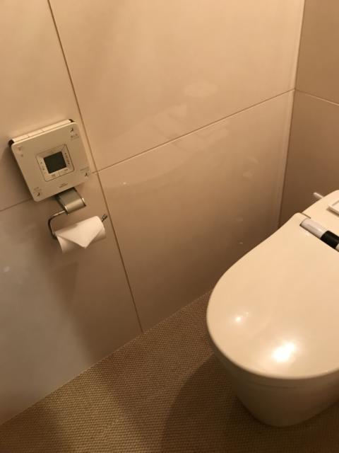 ラピア(新宿区/ラブホテル)の写真『203号室のトイレ③』by 少佐