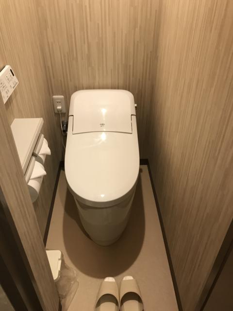 HOTEL RIO（リオ）(新宿区/ラブホテル)の写真『405トイレ』by 夢幻人