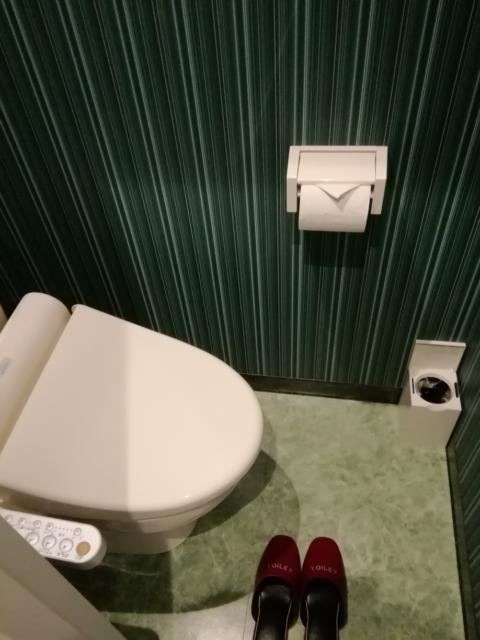 ホテル 山王(台東区/ラブホテル)の写真『205号室　トイレ』by Blues
