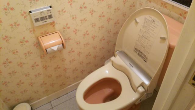 HOTEL LX 諏訪（レックス)(諏訪市/ラブホテル)の写真『216号室トイレ。夏だからか便座冷たかったです。』by 折口 直公