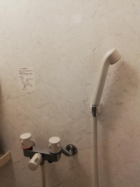 レンタルルーム プレジャー(港区/ラブホテル)の写真『24号室　シャワー室2』by ところてんえもん