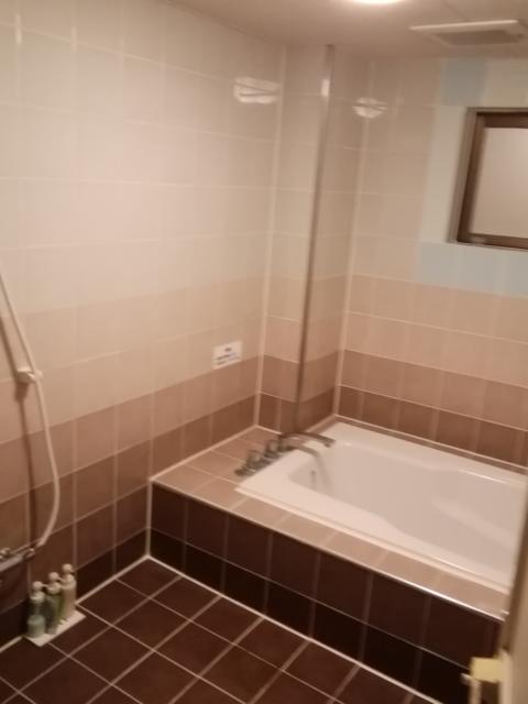 hotel GOLF3 厚木(厚木市/ラブホテル)の写真『B301号室利用。お風呂です。広さはありますが、TVやジャグジーはありません。』by キジ