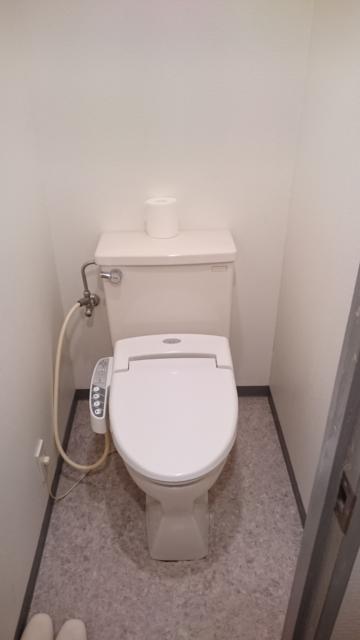 ホテルマーブル(品川区/ラブホテル)の写真『202号室　トイレ』by ところてんえもん