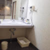 アネックス(川口市/ラブホテル)の写真『315号室　洗面所　全景』by INA69