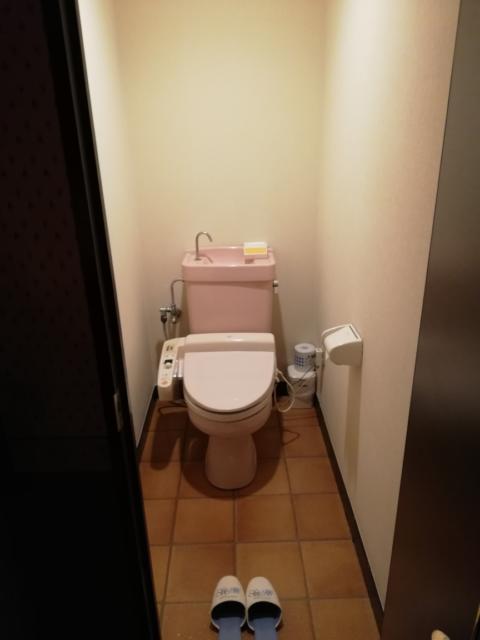 ホテル アテネ(柏市/ラブホテル)の写真『311号室　トイレ』by ところてんえもん
