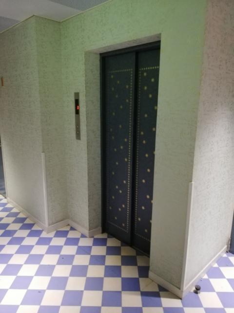 ホテル アテネ(柏市/ラブホテル)の写真『3階　エレベーター前』by ところてんえもん