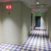 ホテル アテネ(柏市/ラブホテル)の写真『3階　廊下』by ところてんえもん