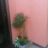 HOTEL GRASSINO URBAN RESORT(立川市/ラブホテル)の写真『403号室　露天風呂植物①』by 140キロの坊主