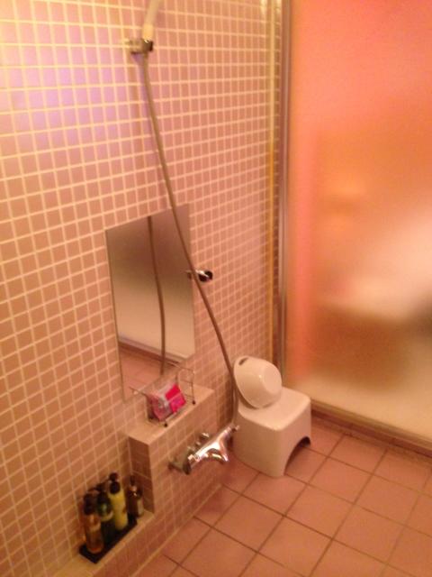 カラフルＰ＆Ａ新宿(新宿区/ラブホテル)の写真『504号室 バスルーム シャワーコーナー』by サトナカ
