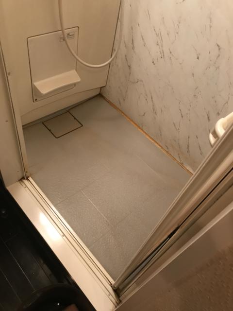 レンタルルーム ダーツ24(品川区/ラブホテル)の写真『(208号室)シャワールーム足元。綺麗さはもう一歩でしたが、多少広めかと思います。』by こーめー