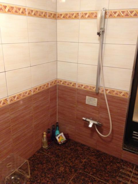 HOTEL Perrier(ペリエ)(新宿区/ラブホテル)の写真『401号室 バスルーム シャワーコーナー』by サトナカ