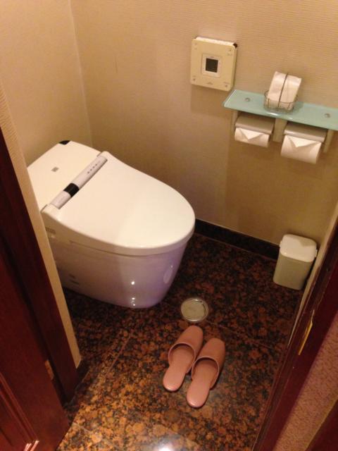 HOTEL Perrier(ペリエ)(新宿区/ラブホテル)の写真『401号室トイレ』by サトナカ