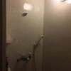 レンタルルーム プレジャー(港区/ラブホテル)の写真『5号室　シャワールーム』by INA69