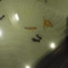 HOTEL LA SEINE（ラセーヌ）(市川市/ラブホテル)の写真『208号室 入り口通路床拡大（枯山水＋金魚風）』by ホテルレポったー