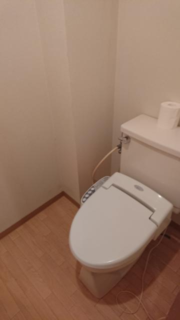 ホテルマーブル(品川区/ラブホテル)の写真『405号室、トイレ』by ビデ三郎