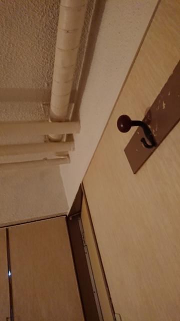 ホテル シルク(豊島区/ラブホテル)の写真『302号室、天井に配管(^o^;)』by ビデ三郎