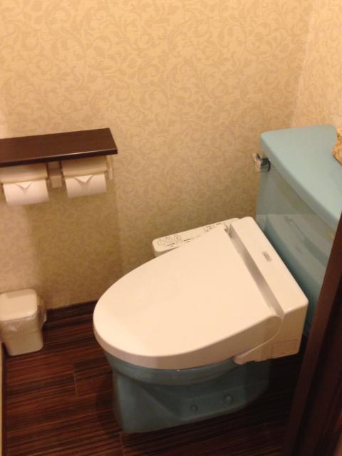 HOTEL EXCELLENT(エクセレント)(新宿区/ラブホテル)の写真『205号室 トイレ』by サトナカ