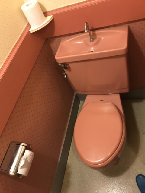ドルフィン(新宿区/ラブホテル)の写真『302トイレ』by 夢幻人